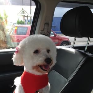 Meet your Posher, Hanna